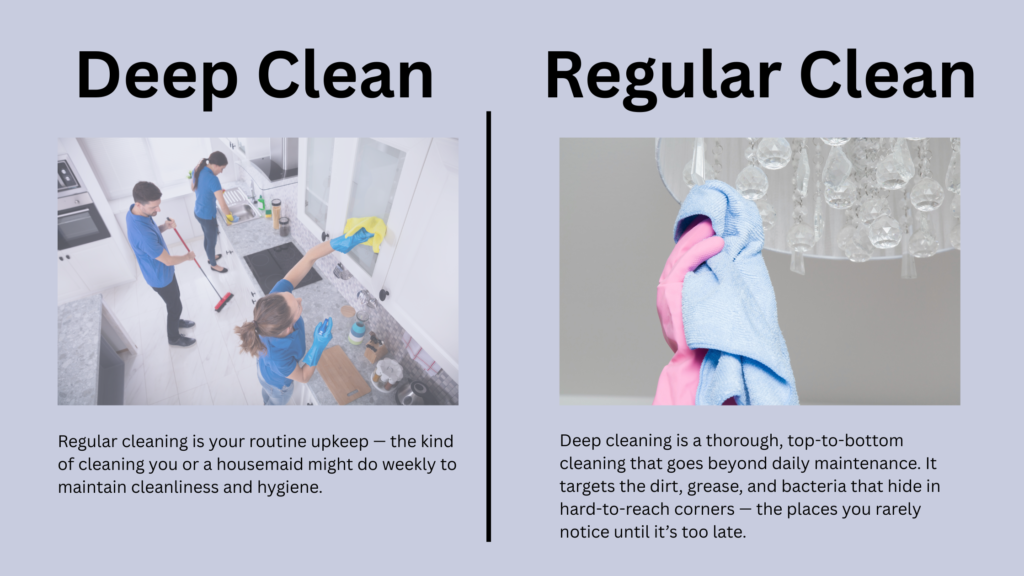 Which Cleaning Service Do You Need Deep Clean vs Regular Clean