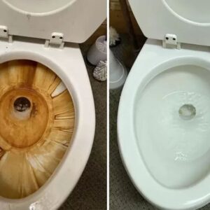 Home Cleaning Services in Ghaziabad, Delhi